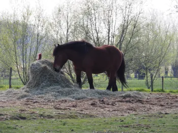 Kalkense Meersen (België)